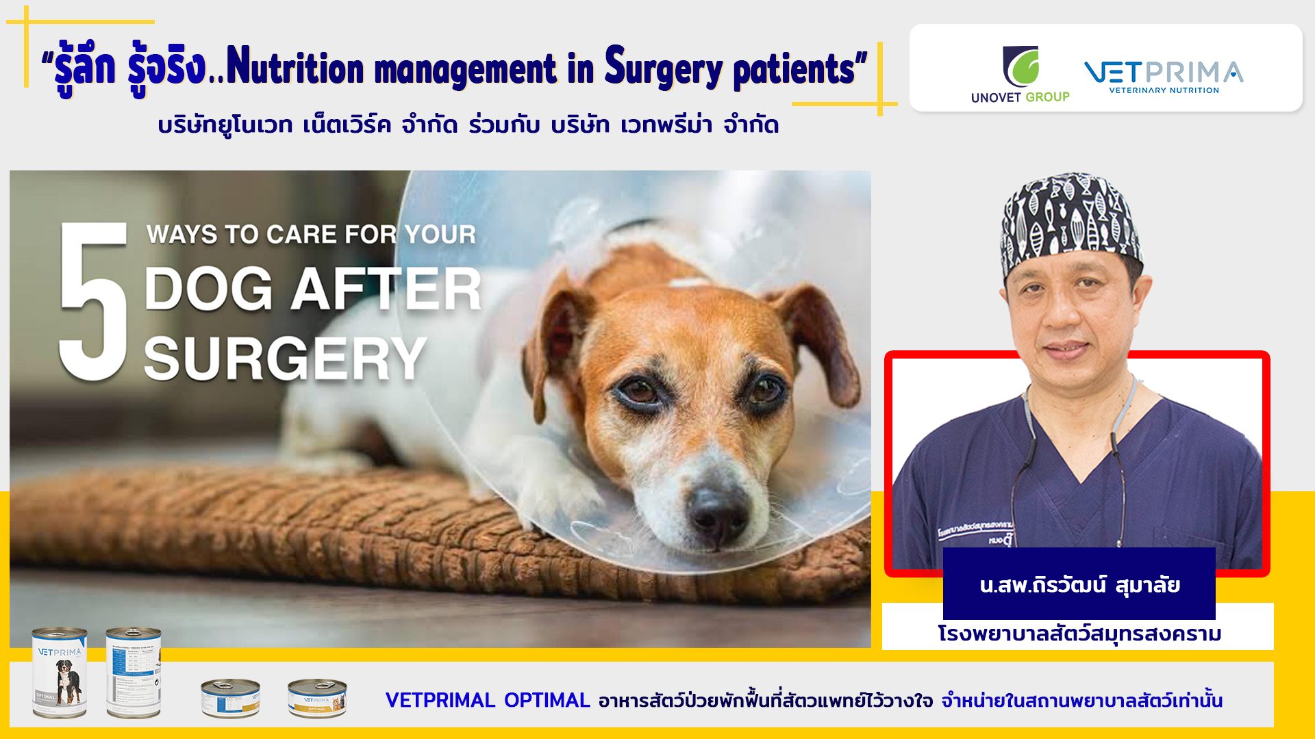 5 WAYS TO CARE FOR YOUR DOG AFTER SURGERY นายสัตวแพทย์ถิรวัฒน์ สุมาลัย