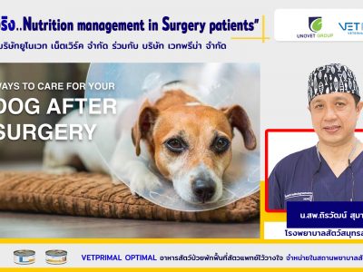 5 WAYS TO CARE FOR YOUR DOG AFTER SURGERY นายสัตวแพทย์ถิรวัฒน์ สุมาลัย