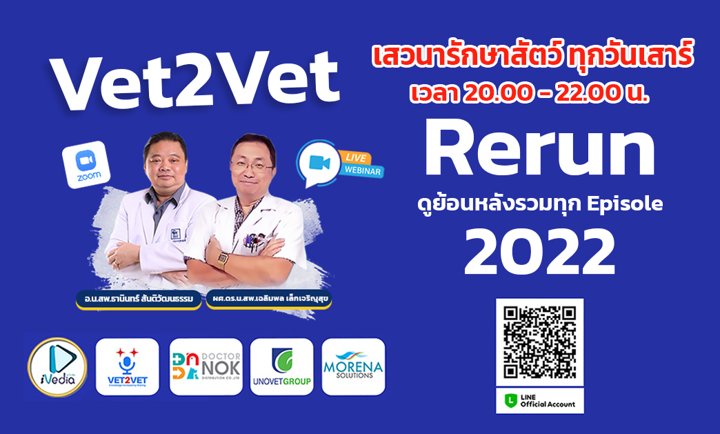 vet2vet2022